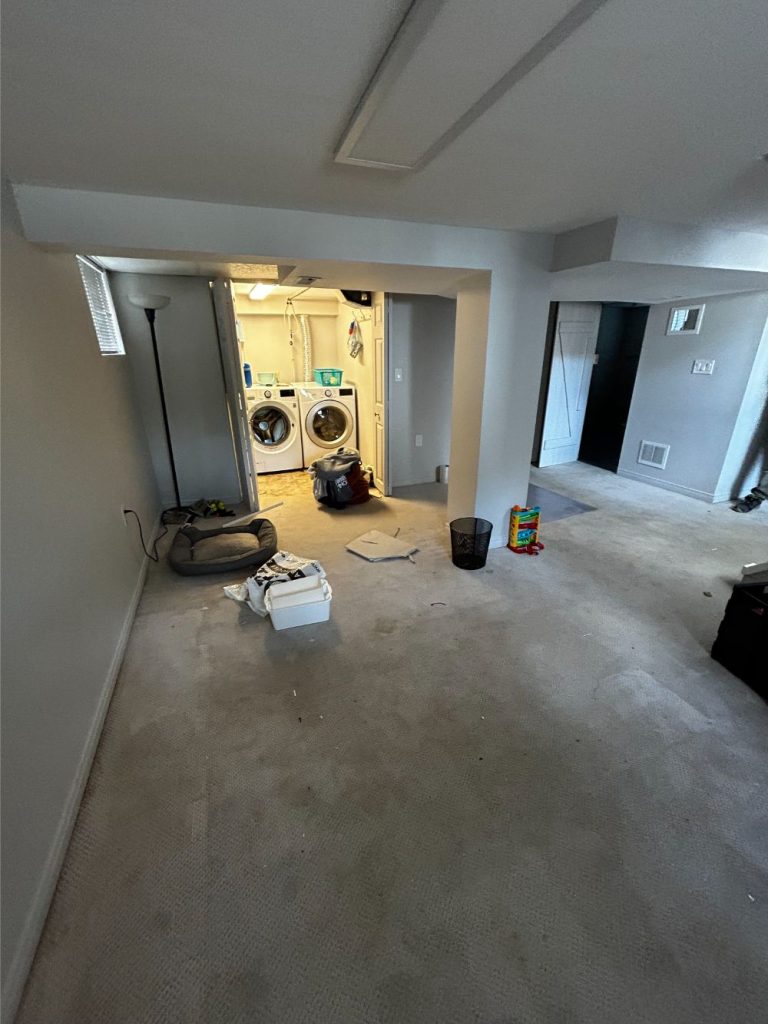 basement renovation in progress